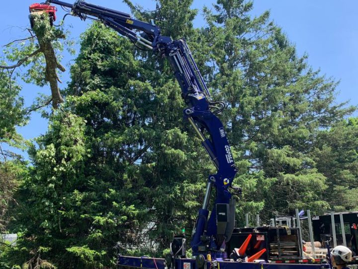 Advantages of Hiring a Tree Crane Service