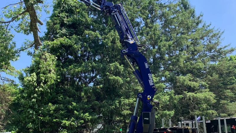 Advantages of Hiring a Tree Crane Service